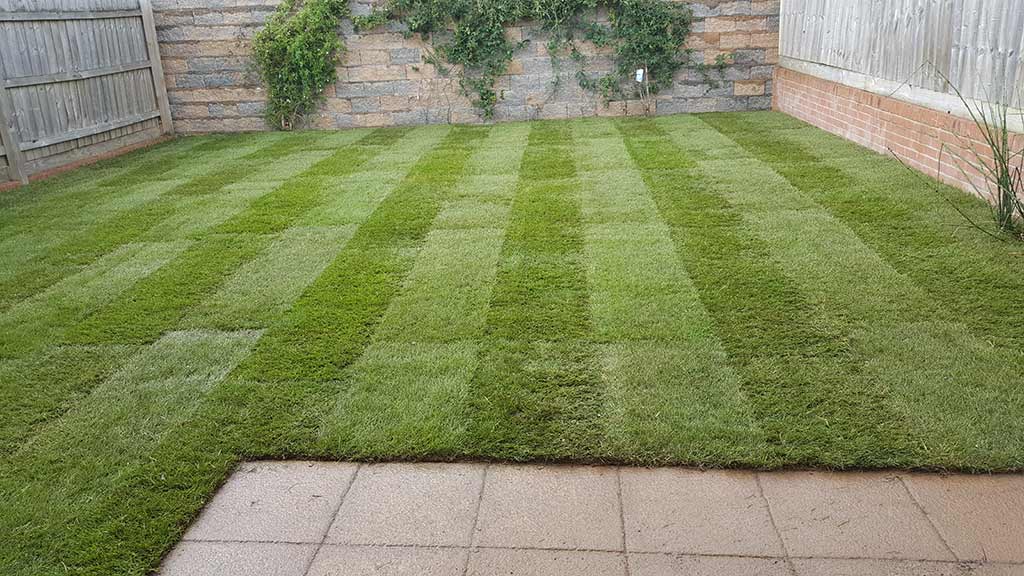 Turfing Work Example - After