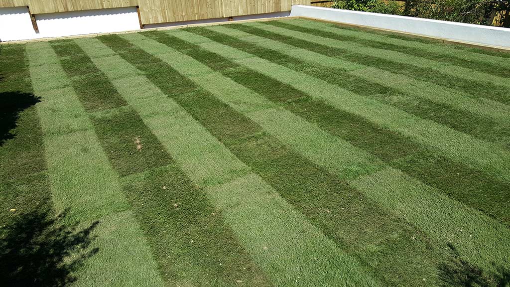 Turfing Work Example - After